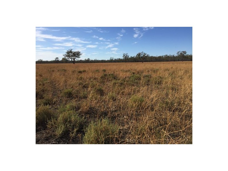 MOOLABULLA, Garah NSW 2405