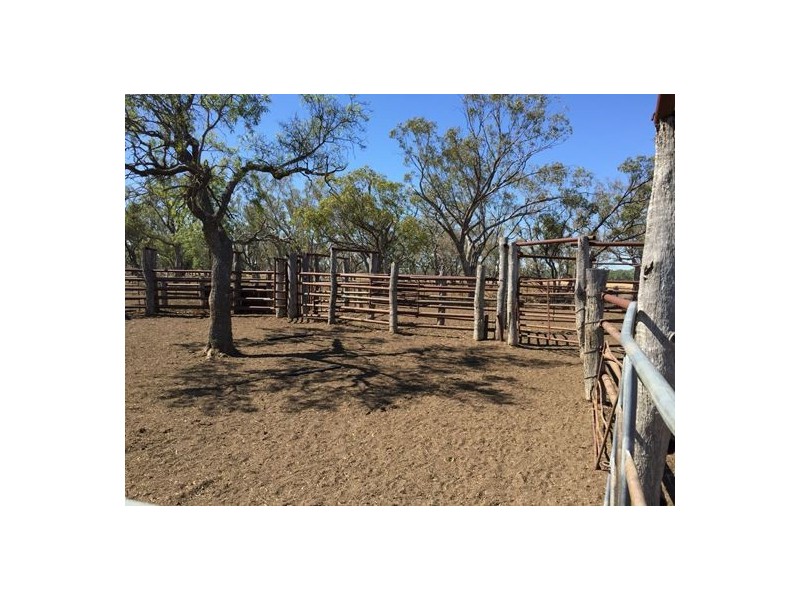 MOOLABULLA, Garah NSW 2405