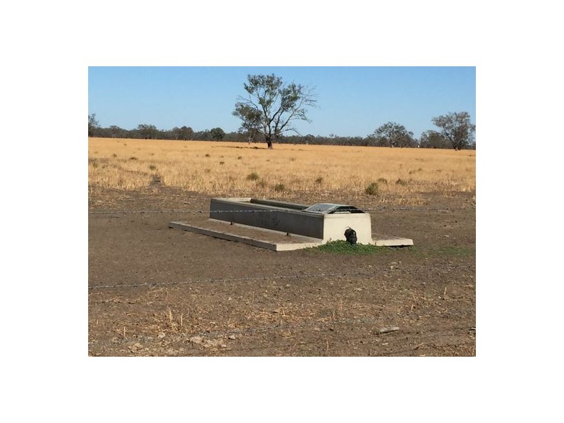 MOOLABULLA, Garah NSW 2405