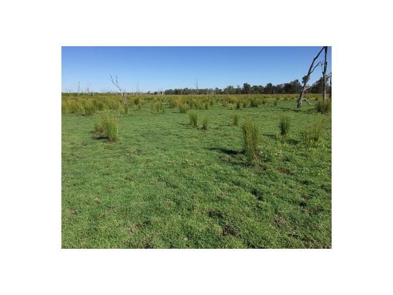 MOOLABULLA, Garah NSW 2405