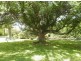 100 GREENBAH ROAD, Moree NSW 2400