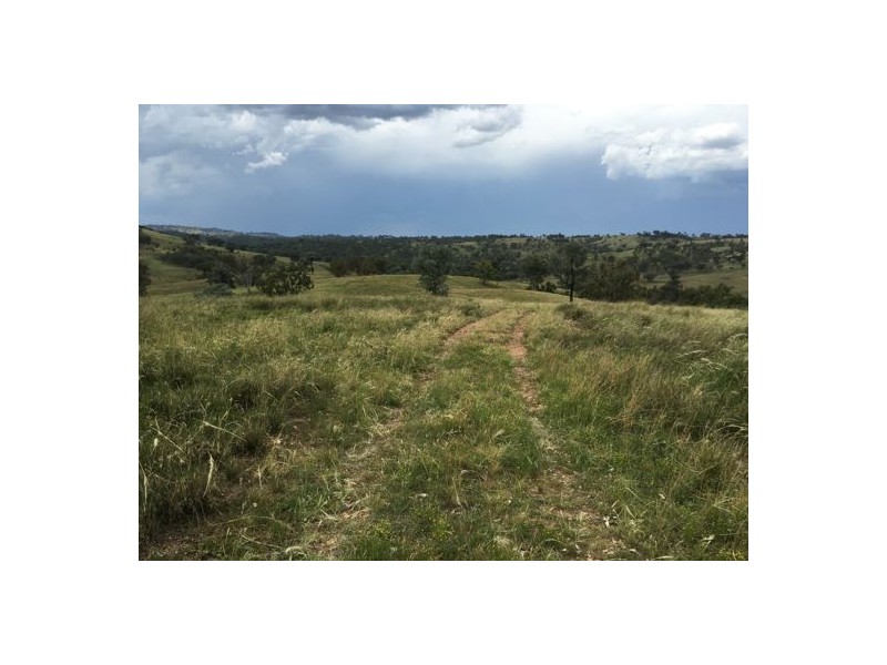 Inverell NSW 2360