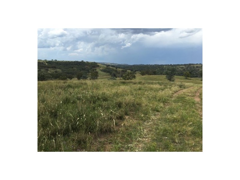 Inverell NSW 2360