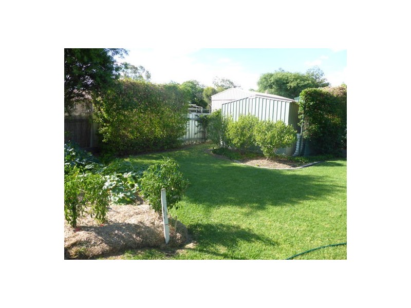 57 Brigalow Drive, Moree NSW 2400