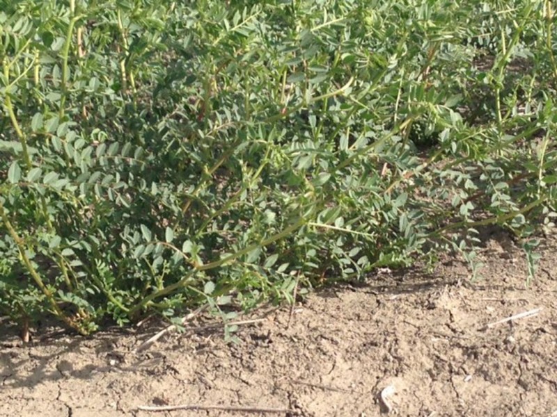 Benelkay Aggregation, Walgett NSW 2832