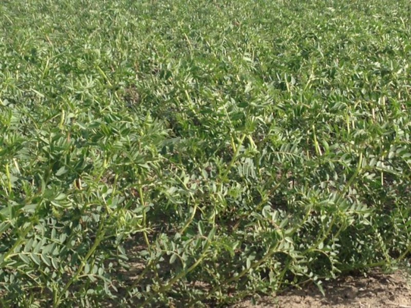 Benelkay Aggregation, Walgett NSW 2832