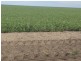 Benelkay Aggregation, Walgett NSW 2832