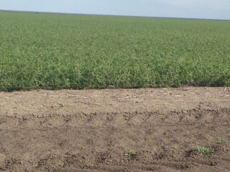 Benelkay Aggregation, Walgett NSW 2832