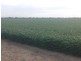 Benelkay Aggregation, Walgett NSW 2832