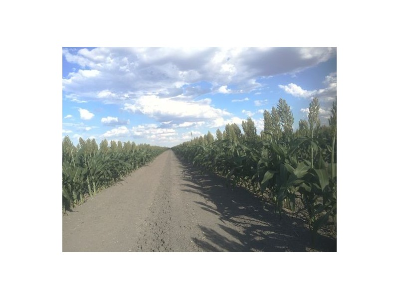 Benelkay Aggregation, Walgett NSW 2832