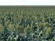 Benelkay Aggregation, Walgett NSW 2832