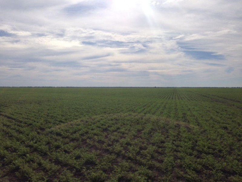 Benelkay Aggregation, Walgett NSW 2832