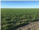 Benelkay Aggregation, Walgett NSW 2832