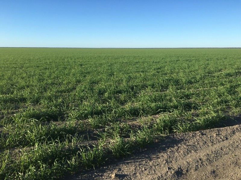 Benelkay Aggregation, Walgett NSW 2832