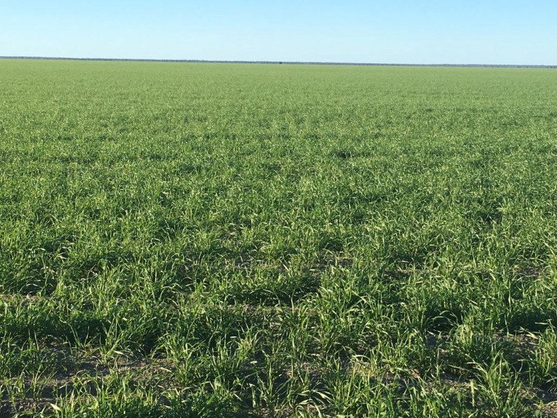 Benelkay Aggregation, Walgett NSW 2832