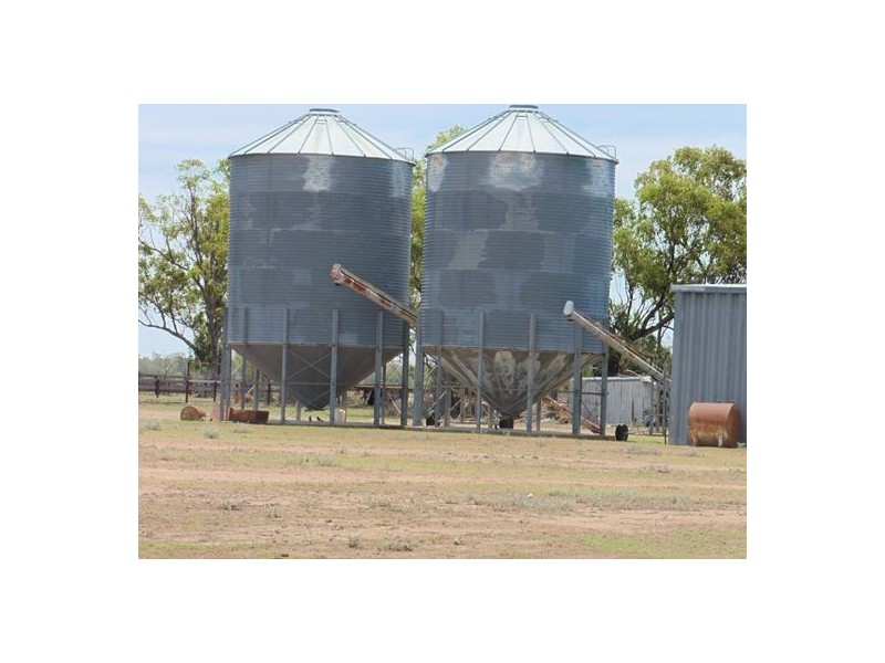 “Woodbine”, Moree NSW 2400