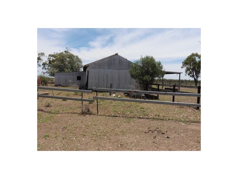 “Woodbine”, Moree NSW 2400