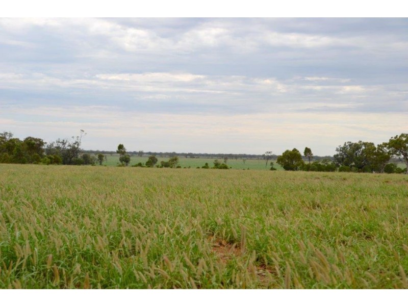 Malabar, Walgett NSW 2832