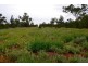 Malabar, Walgett NSW 2832