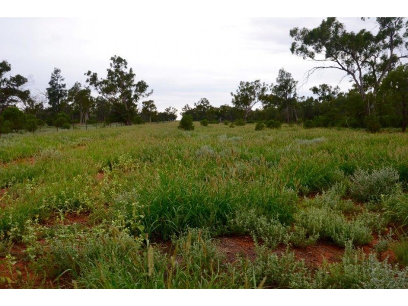Malabar, Walgett NSW 2832