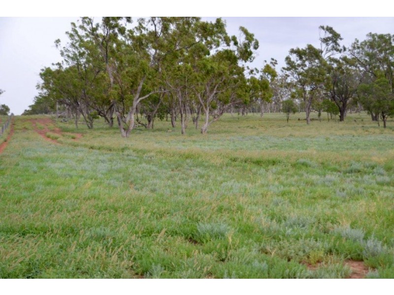 Malabar, Walgett NSW 2832
