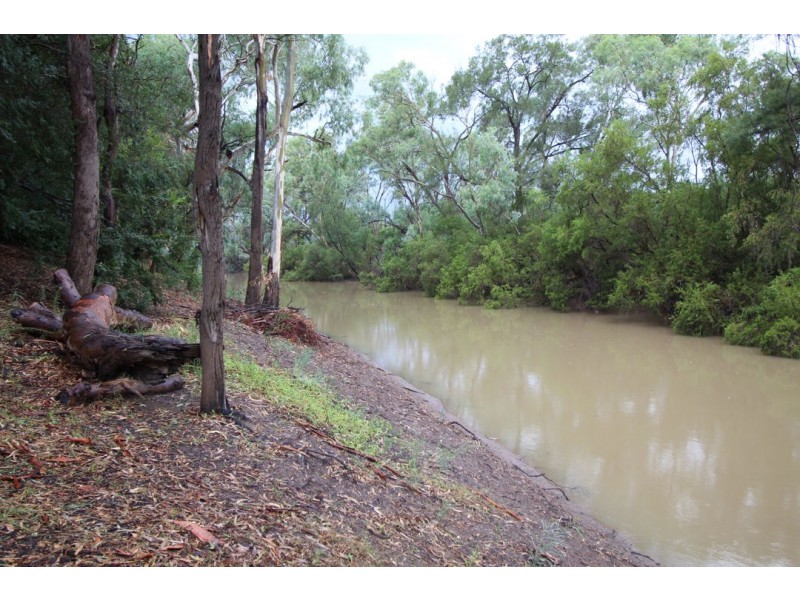 “Lilydale” 539 Gwydir Highway, Moree NSW 2400