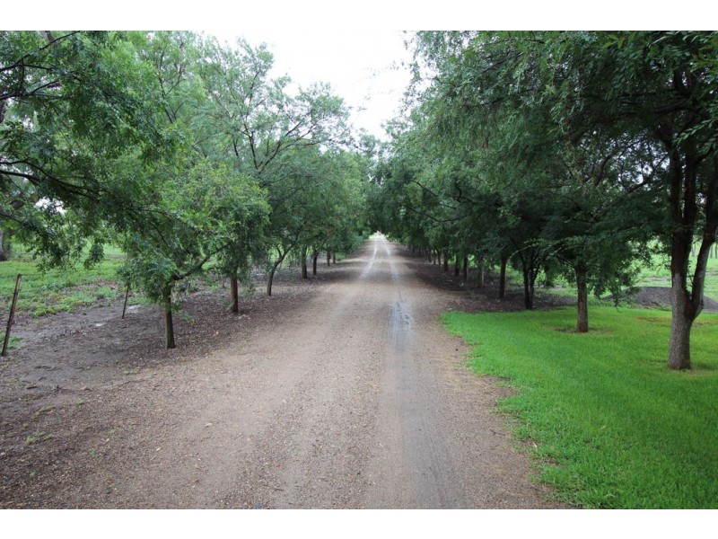 “Lilydale” 539 Gwydir Highway, Moree NSW 2400