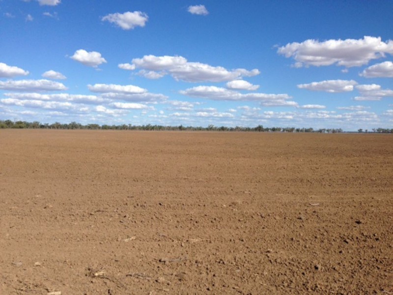 “Congewoi”, Walgett NSW 2832
