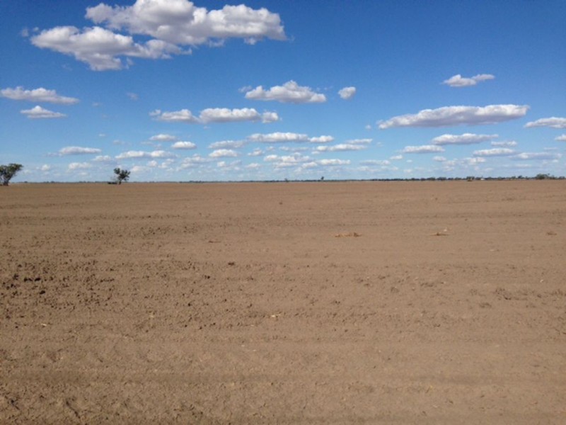 “Congewoi”, Walgett NSW 2832