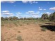 “Congewoi”, Walgett NSW 2832