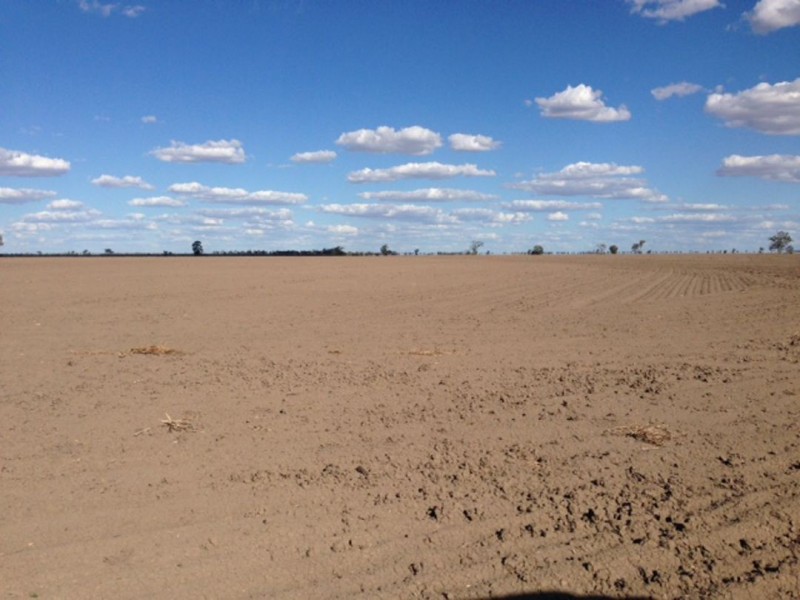 “Congewoi”, Walgett NSW 2832