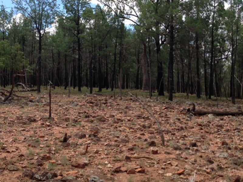 “Brookhill”, Walgett NSW 2832