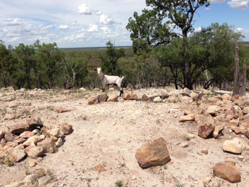 “Brookhill”, Walgett NSW 2832