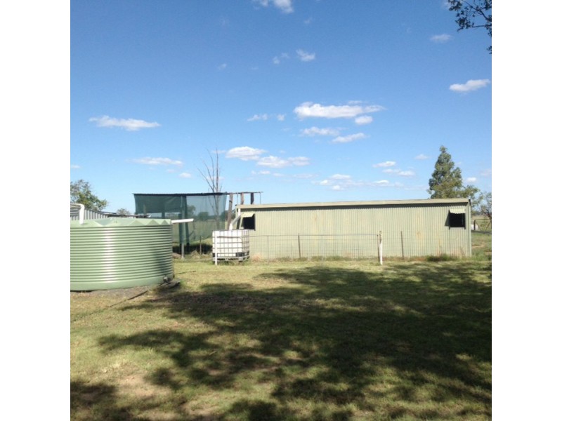 52 GLEN PARK ROAD, Moree NSW 2400