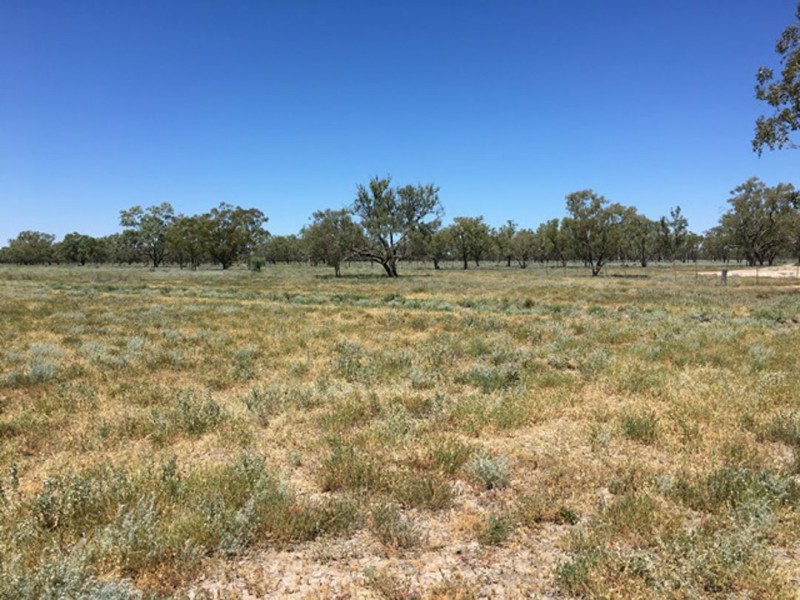 “Bogibel/Kareelah”, Collarenebri NSW 2833