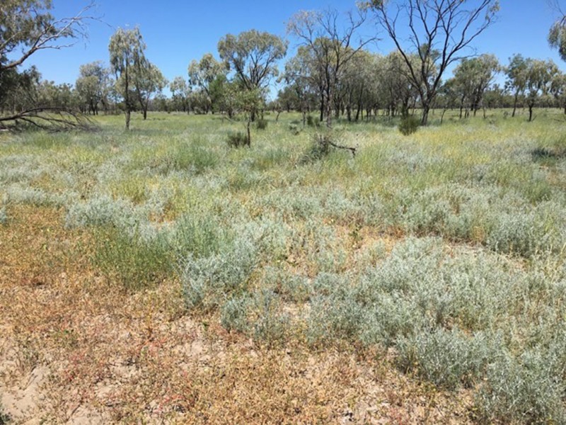 “Bogibel/Kareelah”, Collarenebri NSW 2833