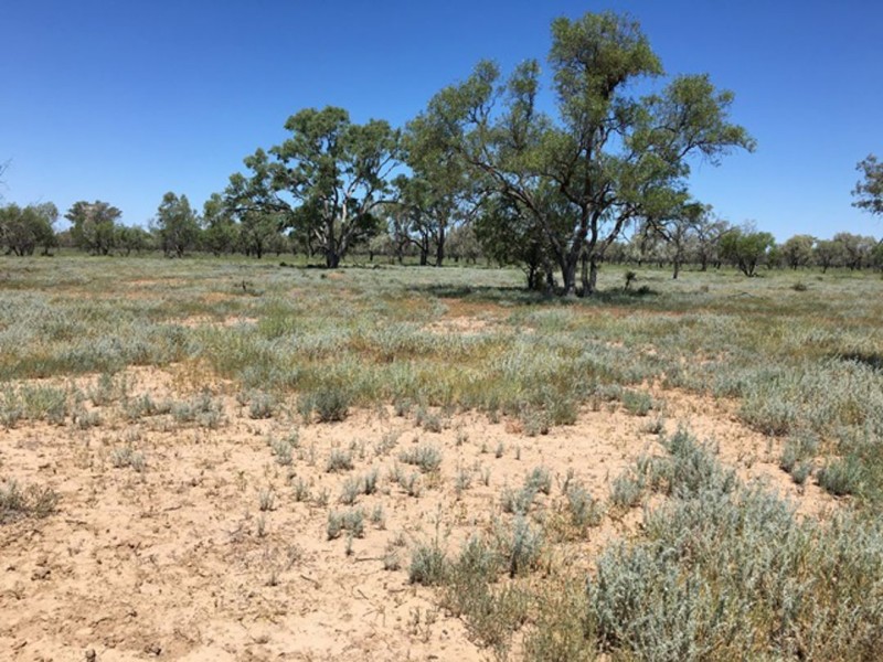 “Bogibel/Kareelah”, Collarenebri NSW 2833