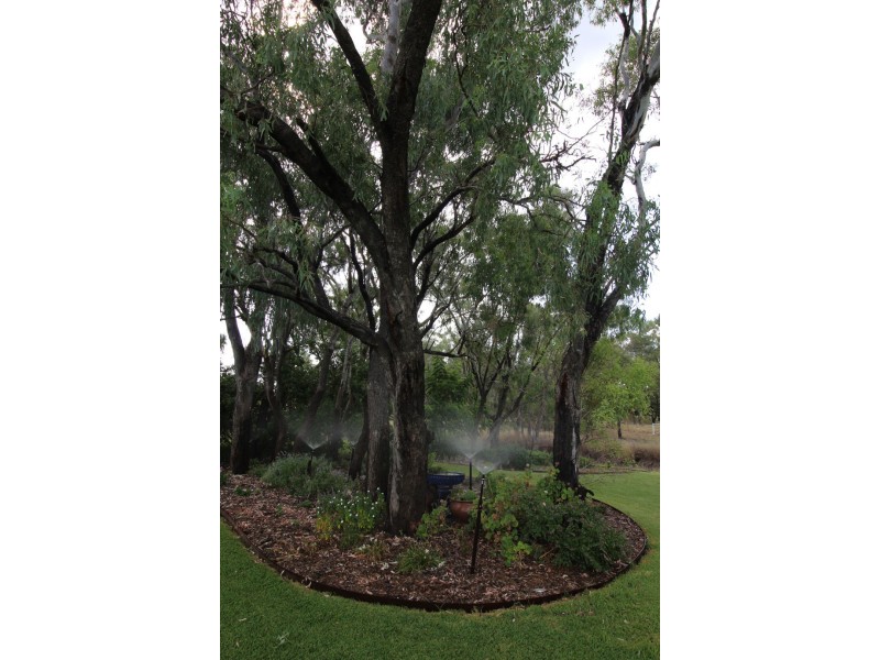 88 KOOROOGAMMA ROAD, Moree NSW 2400