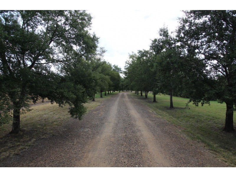 88 KOOROOGAMMA ROAD, Moree NSW 2400