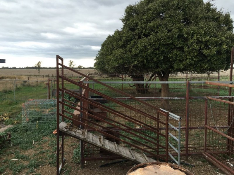“GOATS RUN” GWYDIR HIGHWAY, Moree NSW 2400