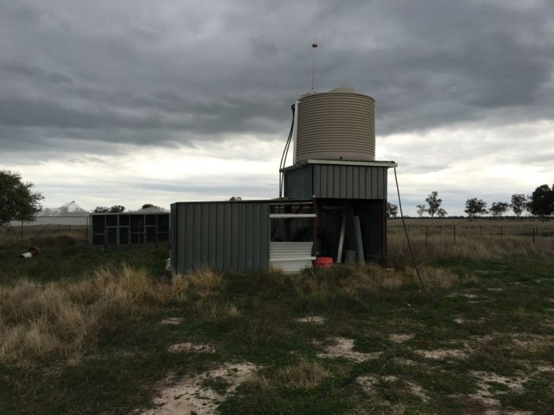“GOATS RUN” GWYDIR HIGHWAY, Moree NSW 2400