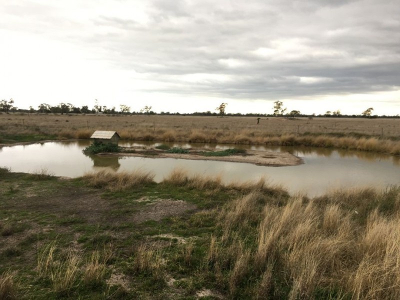 “GOATS RUN” GWYDIR HIGHWAY, Moree NSW 2400