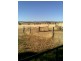 Warialda NSW 2402
