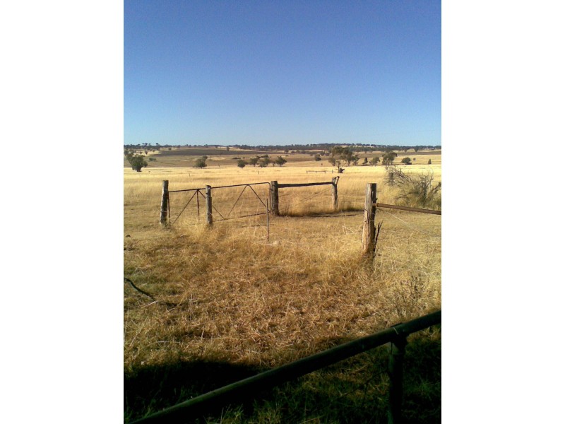 Warialda NSW 2402