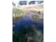 Warialda NSW 2402