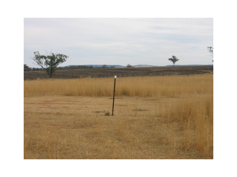 Warialda NSW 2402