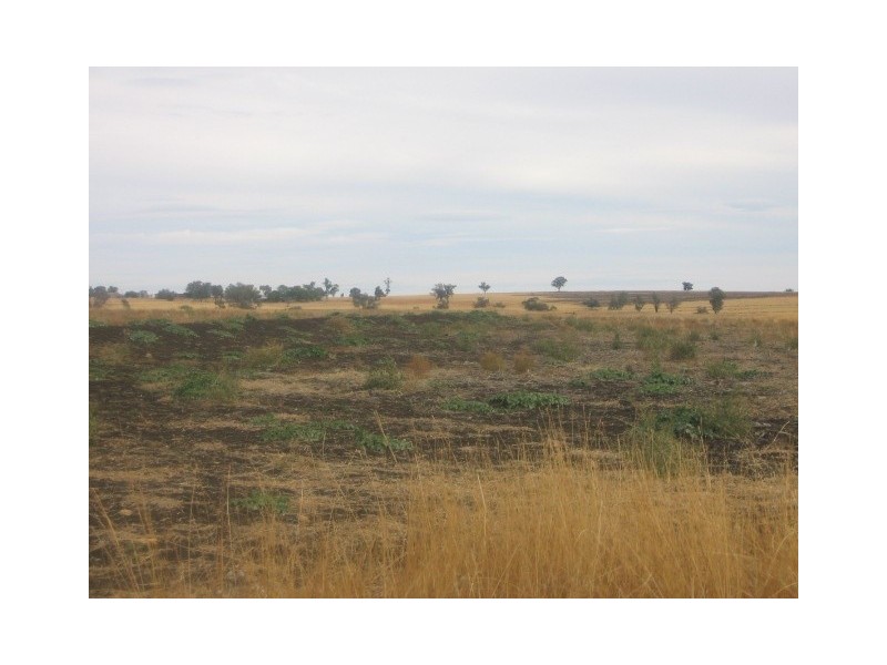 Warialda NSW 2402