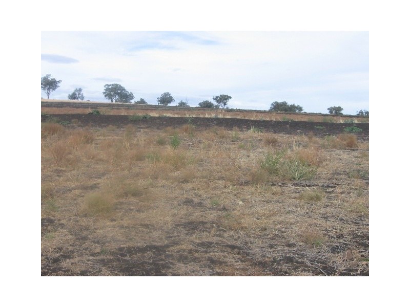 Warialda NSW 2402