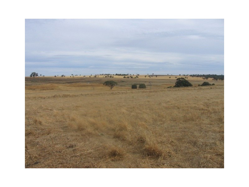 Warialda NSW 2402