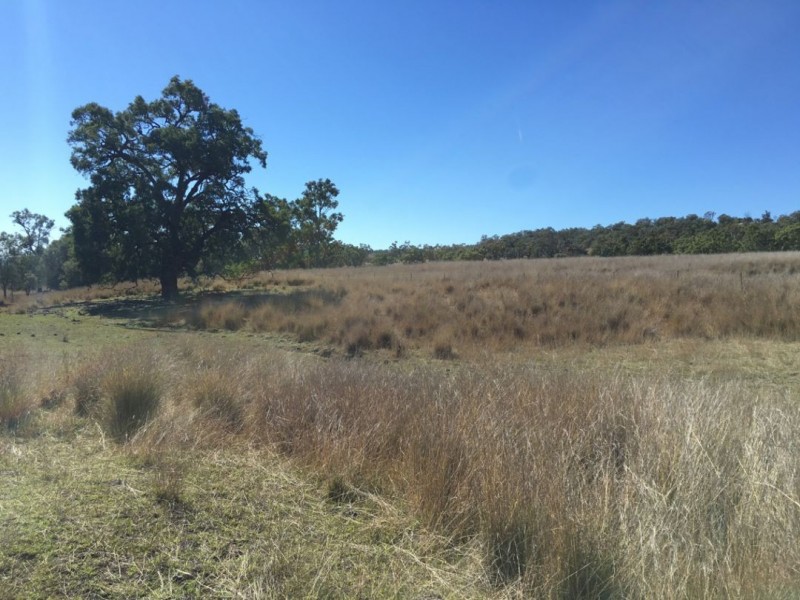 Clifton Rocky Springs Road, Coolatai NSW 2402